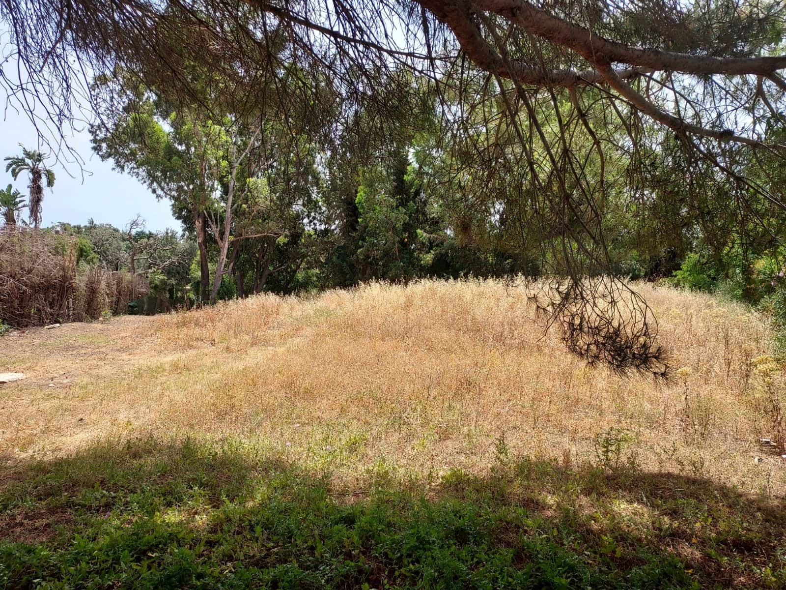 Byggetomt til salgs i Sotogrande - € 265 000 (Ref: 8985484)