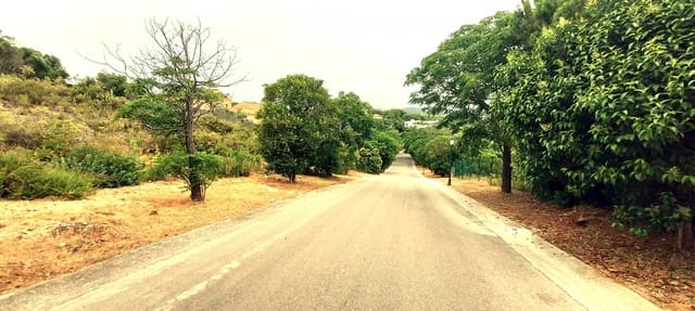 Area Edificabile in vendita in Sotogrande Alto, San Roque - 395.000 € (Rif: 9047693)