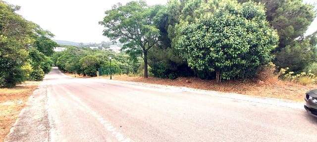 Terrain à Bâtir à vendre à Sotogrande Alto, San Roque - 395 000 € (Ref: 9047693)