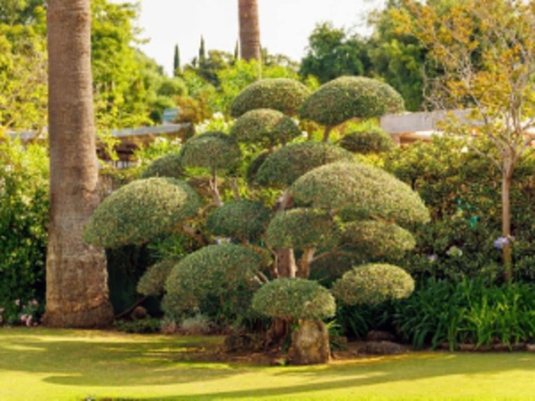 3 soverom Villa til salgs i Sotogrande med svømmebasseng - € 2 580 000 (Ref: 9064964)