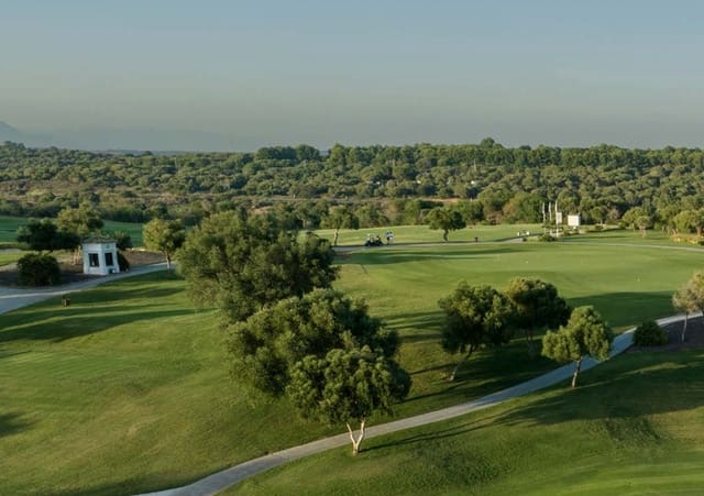 Terreno para Construção para venda em Sotogrande Alto, San Roque - 1 032 000 € (Ref: 9303078)