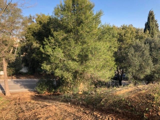 Area Edificabile in vendita in Sotogrande Alto, San Roque - 450.000 € (Rif: 9508431)