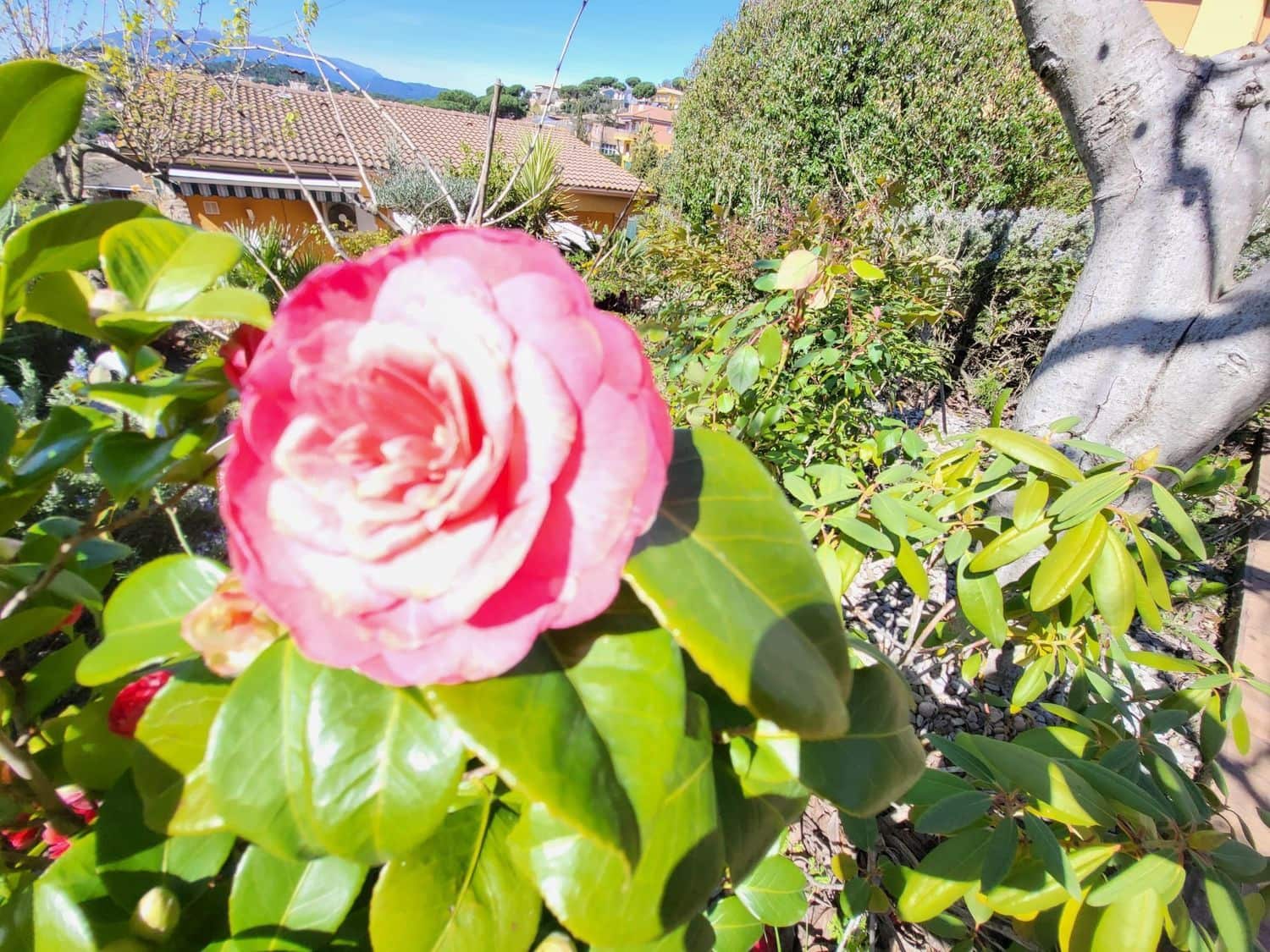 2 bedroom Townhouse for sale in Macanet de la Selva with pool - € 251,460 (Ref: 9829840)