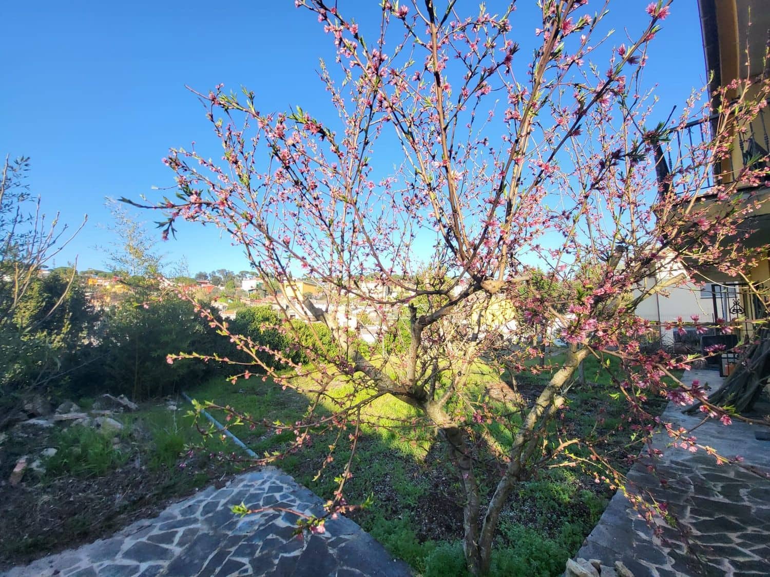 4 bedroom Townhouse for sale in Macanet de la Selva - € 280,000 (Ref: 9829841)