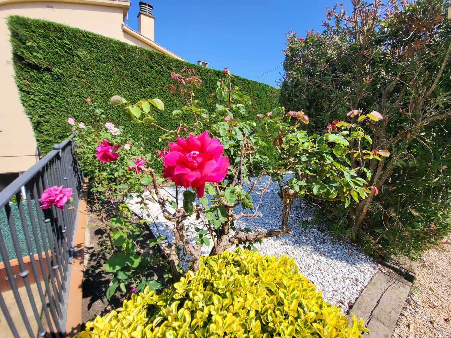5 chambre Maison de Ville à vendre à Llagostera avec piscine - 690 000 € (Ref: 9829846)