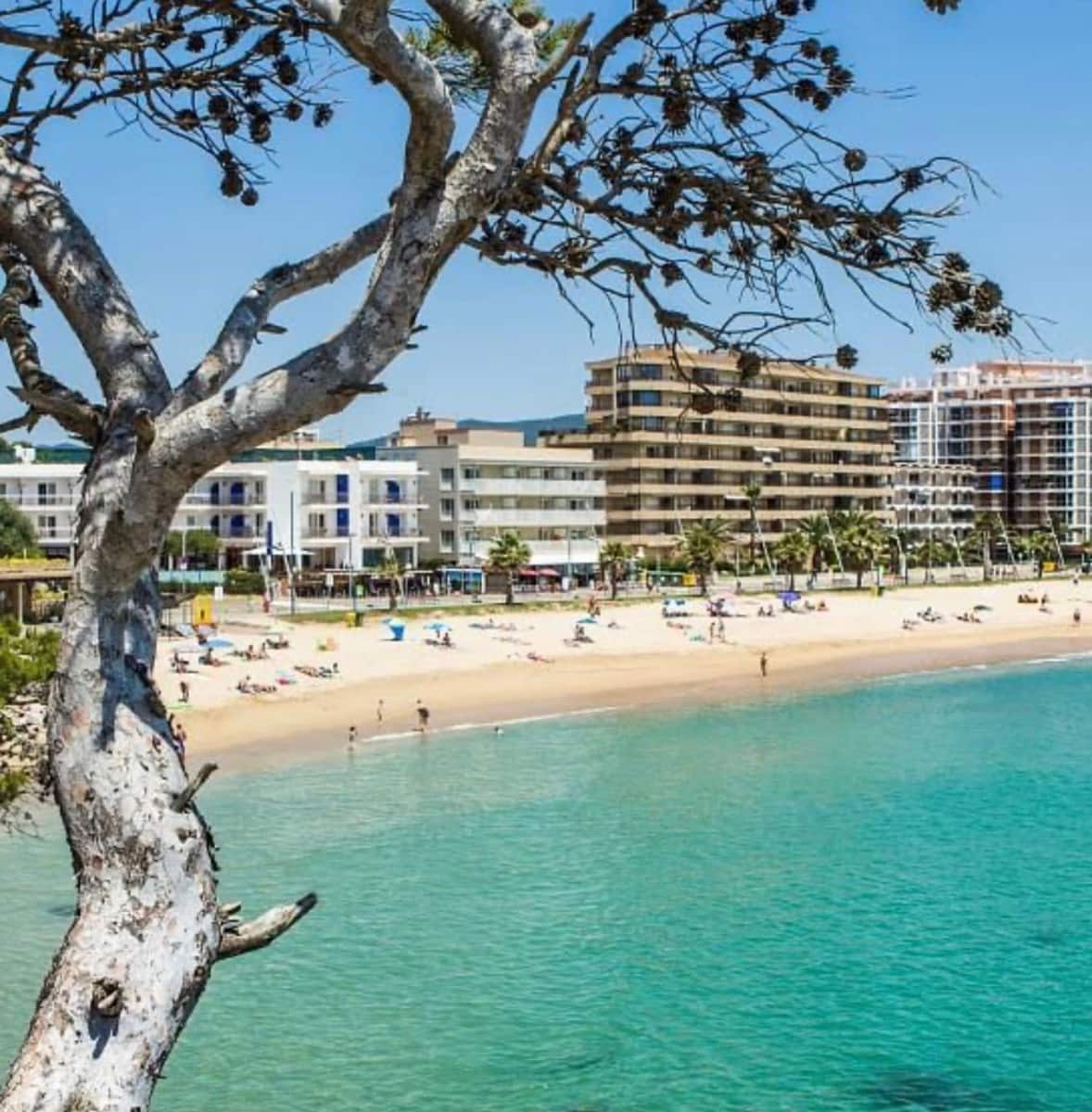 4 Zimmer Gewerbe zu verkaufen in Sant Antoni de Calonge - 497.000 € (Ref: 9829860)