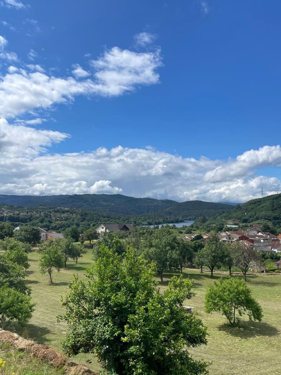 Grunde uden byggetilladelser til salg i Ribadavia - € 2.000.000 (Ref: 9829868)