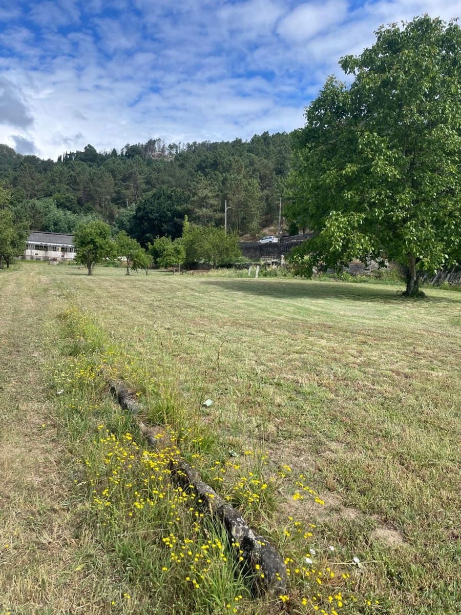 Grunde uden byggetilladelser til salg i Ribadavia - € 2.000.000 (Ref: 9829868)