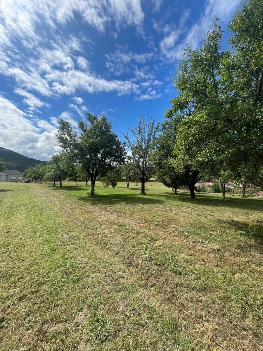 Grunde uden byggetilladelser til salg i Ribadavia - € 2.000.000 (Ref: 9829868)