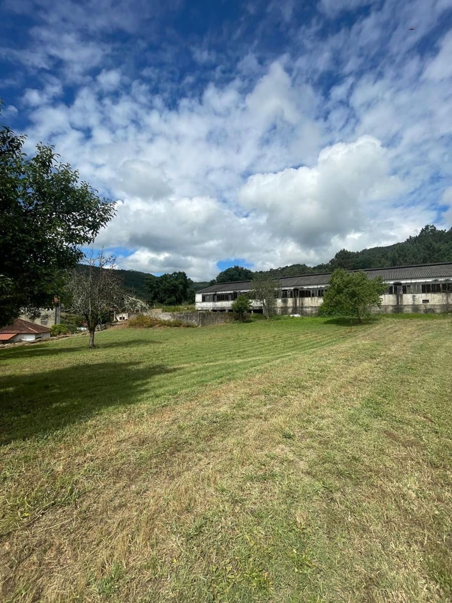 Grunde uden byggetilladelser til salg i Ribadavia - € 2.000.000 (Ref: 9829868)