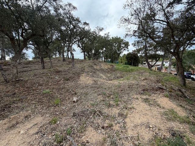 Ubebygd land til salgs i Aiguaviva Parc, Vidreres - € 72 500 (Ref: 9829871)