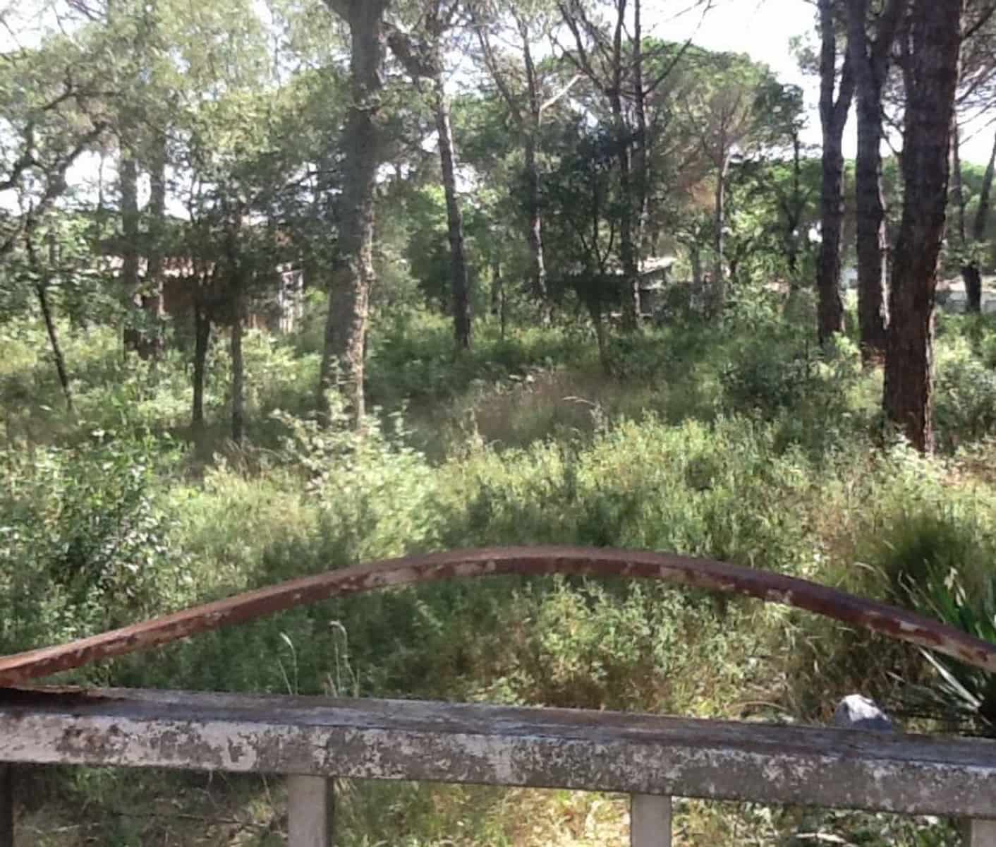 Building Plot for sale in Llagostera - € 430,000 (Ref: 9867634)