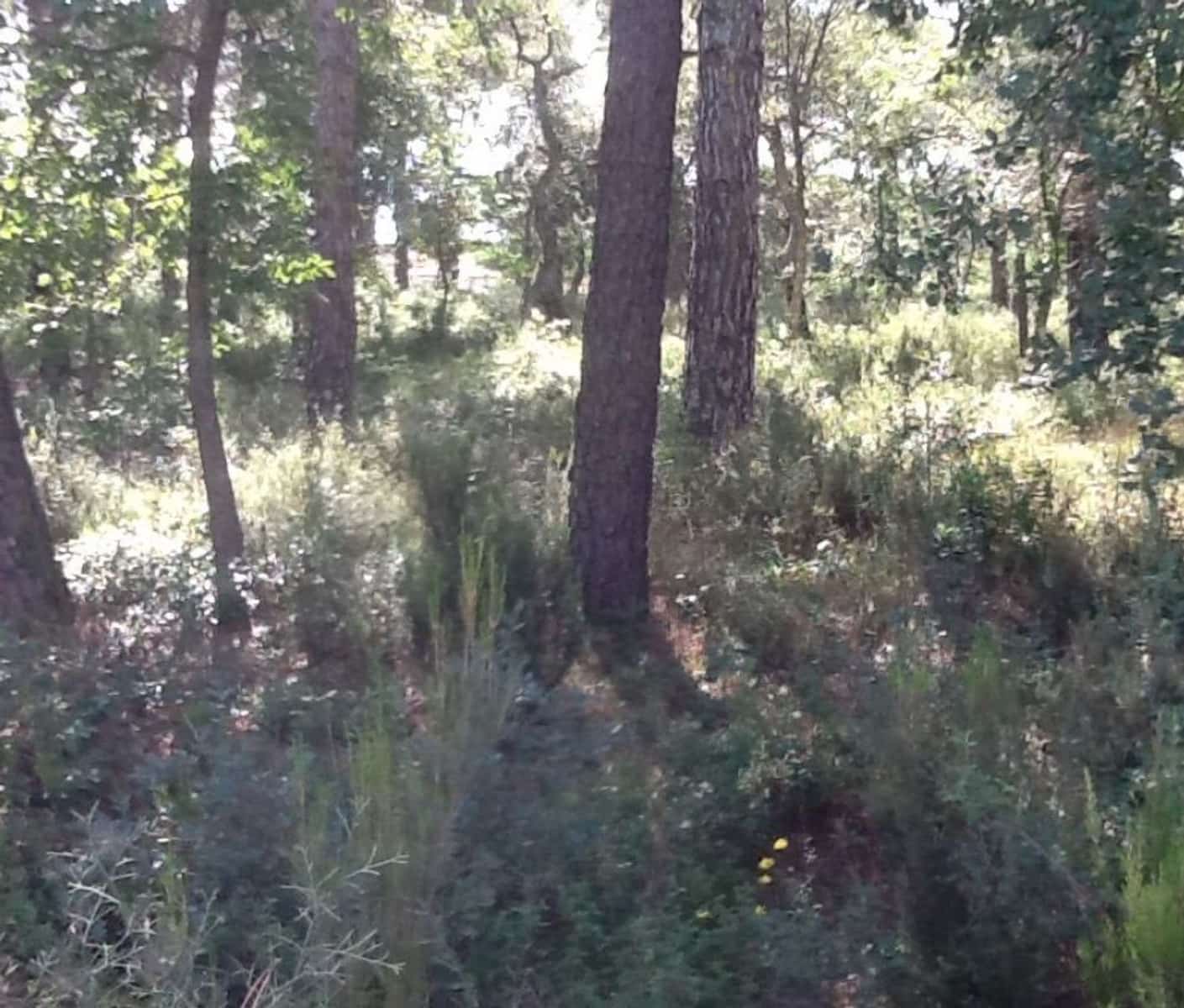Building Plot for sale in Llagostera - € 430,000 (Ref: 9867634)