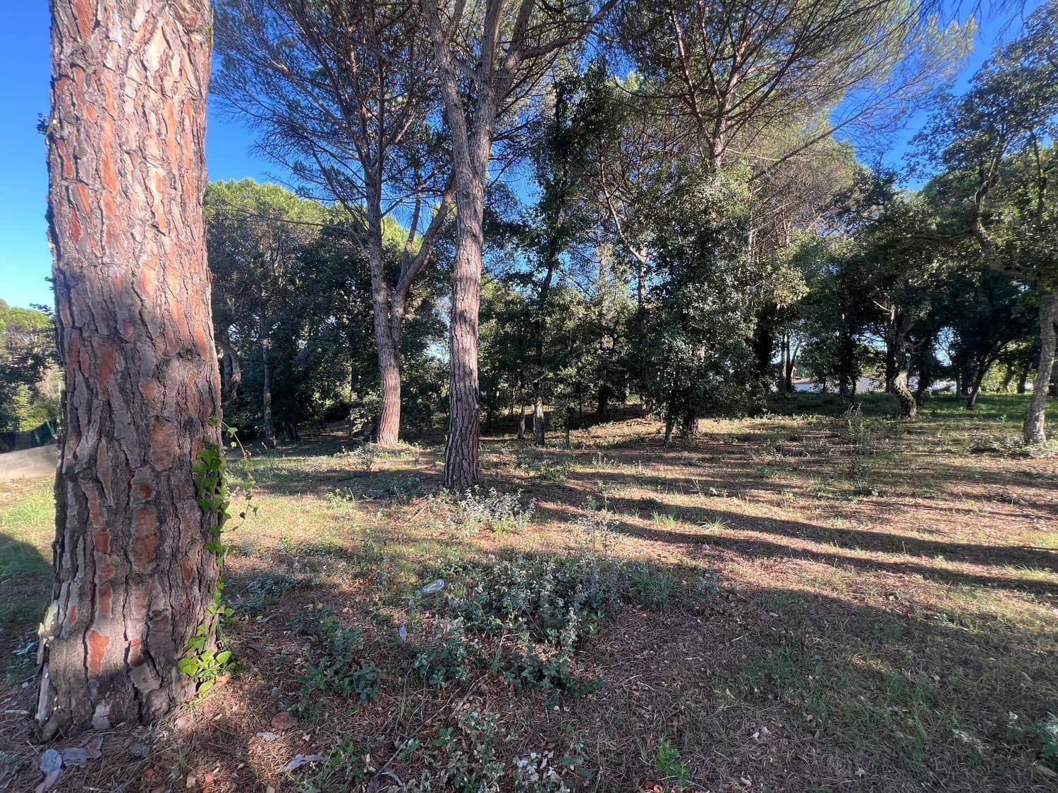 Building Plot for sale in Llagostera - € 430,000 (Ref: 9867634)