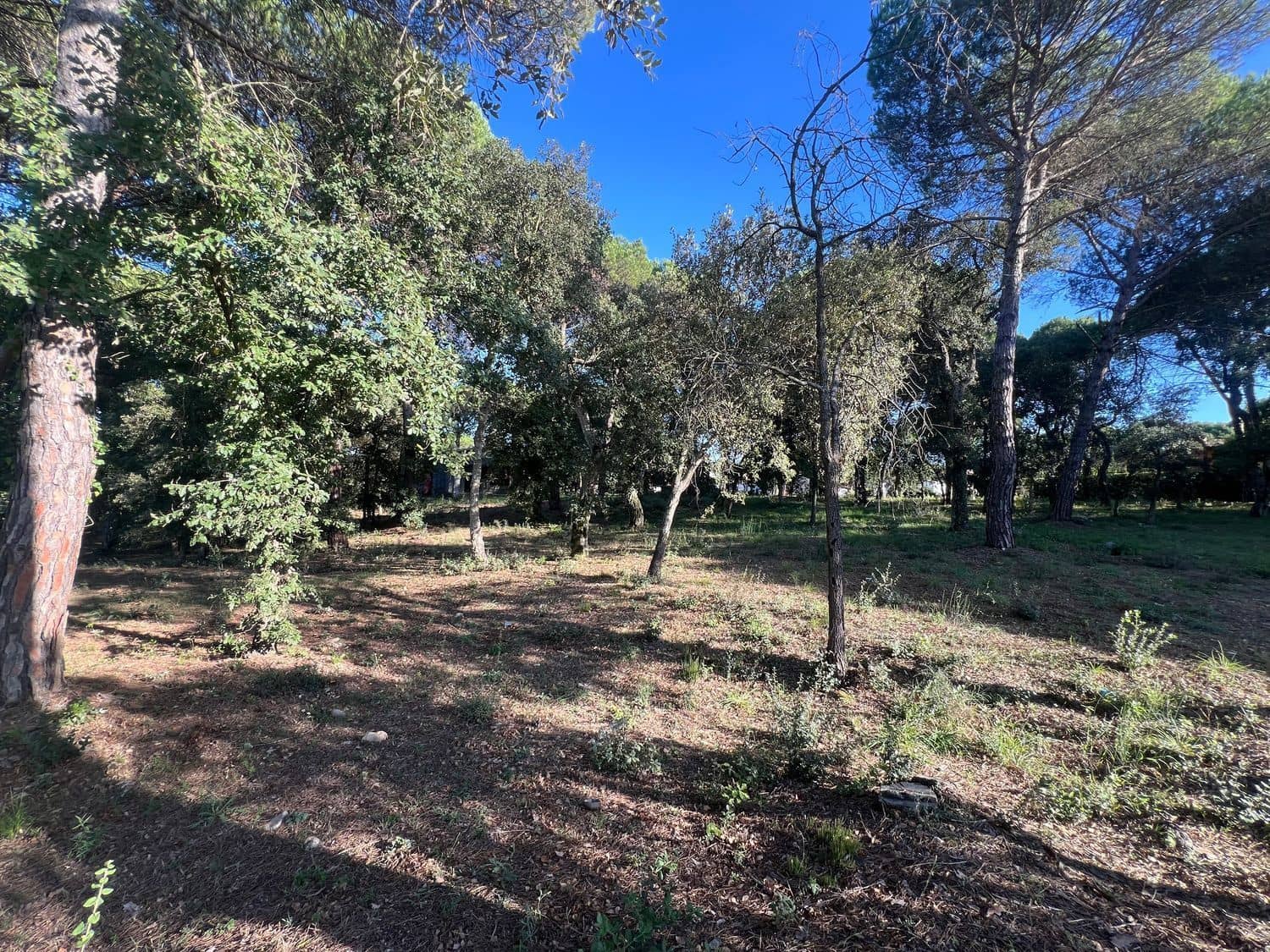 Building Plot for sale in Llagostera - € 430,000 (Ref: 9867634)
