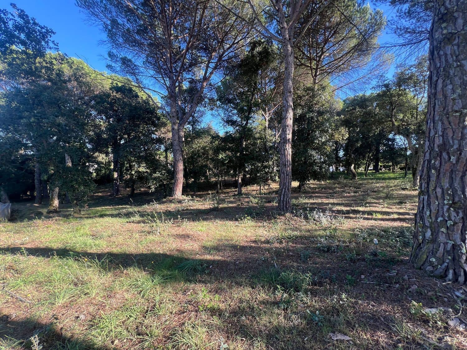 Building Plot for sale in Llagostera - € 430,000 (Ref: 9867634)