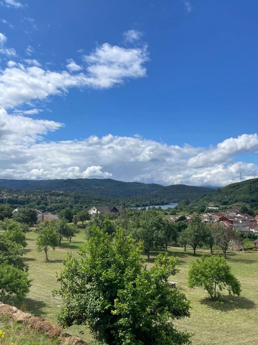 Grond te koop in Ribadavia - € 2.000.000 (Ref: 9873648)
