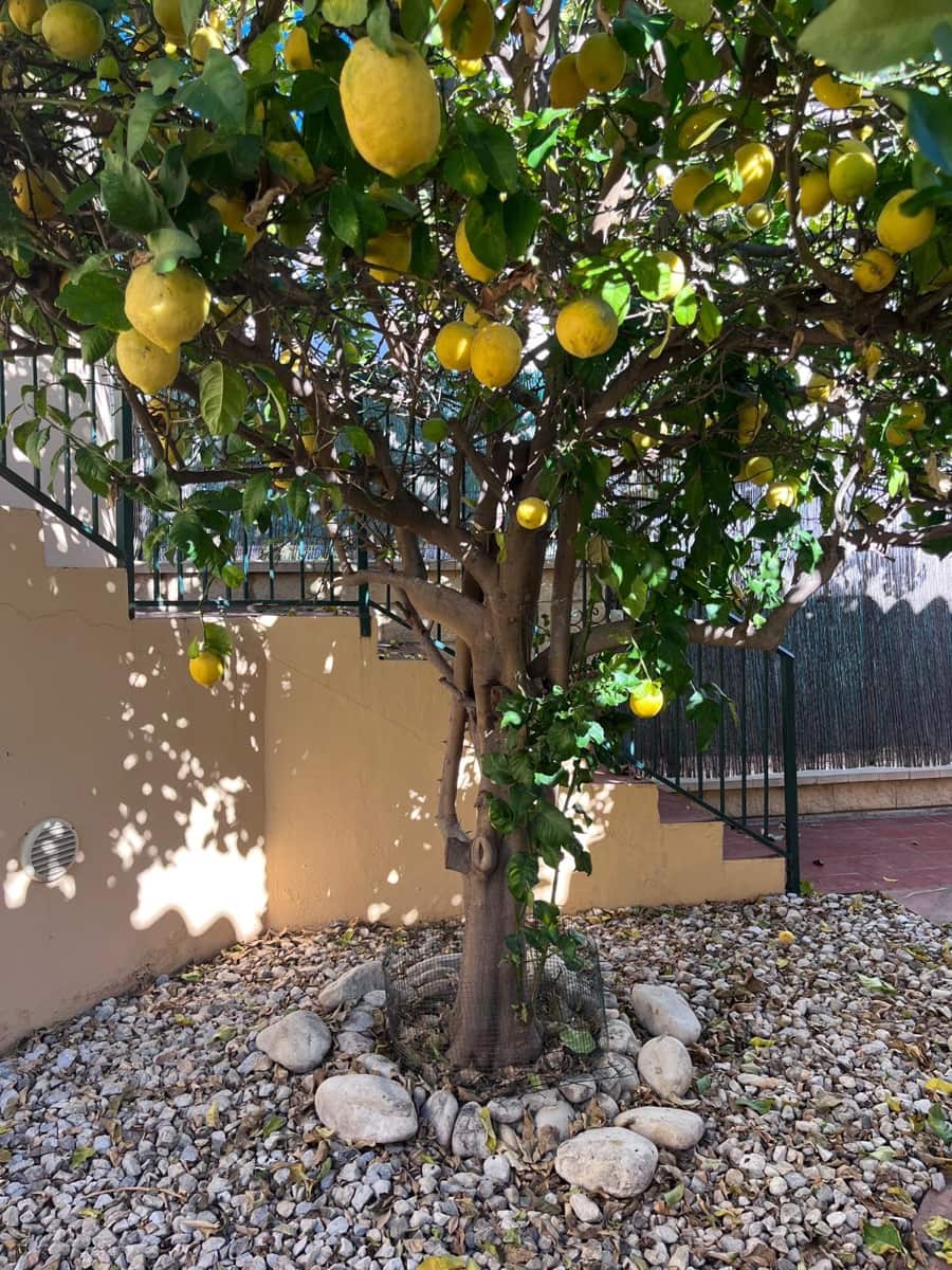 3 camera da letto Villa in vendita in Mijas con piscina - 710.000 € (Rif: 9396873)