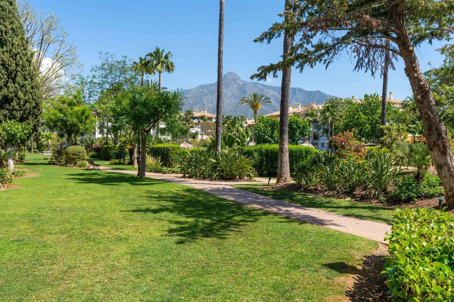 Apartamento de 2 habitaciones en Marbella en alquiler con piscina garaje - 2.100 € (Ref: 10047036)
