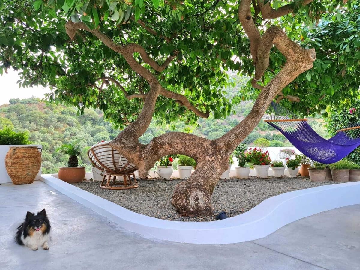 4 bedroom Villa for rent in Marbella with garage - € 5,500 (Ref: 8715346)