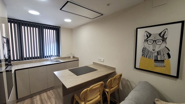1 makuuhuone Yksiö vuokrattavana paikassa La Xerea, Valencia kaupunki - 1 150 € (Ref: 9337108)