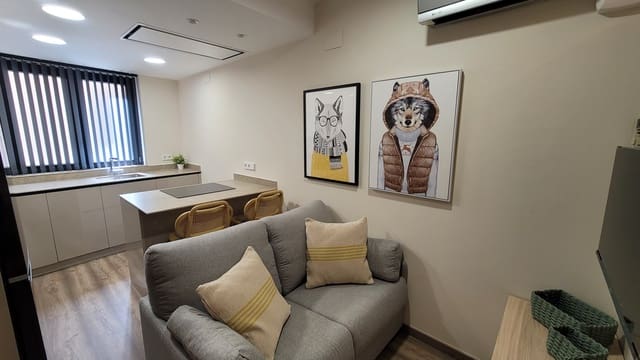 1 makuuhuone Yksiö vuokrattavana paikassa La Xerea, Valencia kaupunki - 1 150 € (Ref: 9337108)