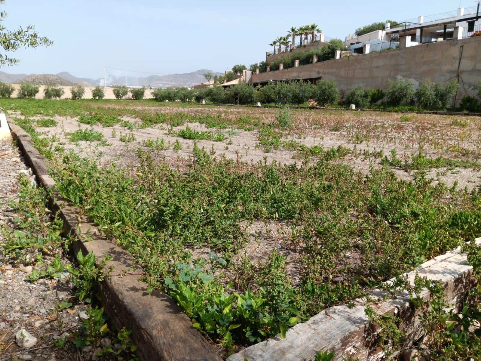 7 makuuhuone Huvila myytävänä paikassa Calarreona - 849 850 € (Ref: 8184155)