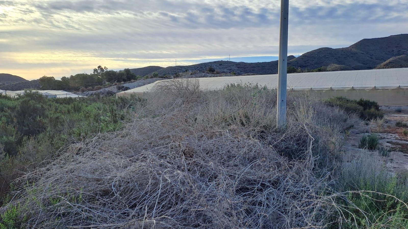 Terreno/Finca Rústica en Aguilas en venta - 120.000 € (Ref: 8184273)