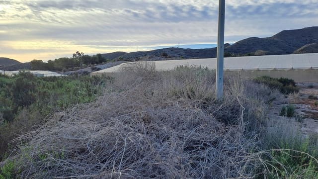 Terreno/Finca Rústica en Aguilas en venta - 120.000 € (Ref: 8184273)