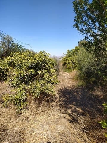 5 sypialnia Finka/Dom wiejski na sprzedaż w La Escucha, Lorca - 200 000 € (Ref: 8209724)