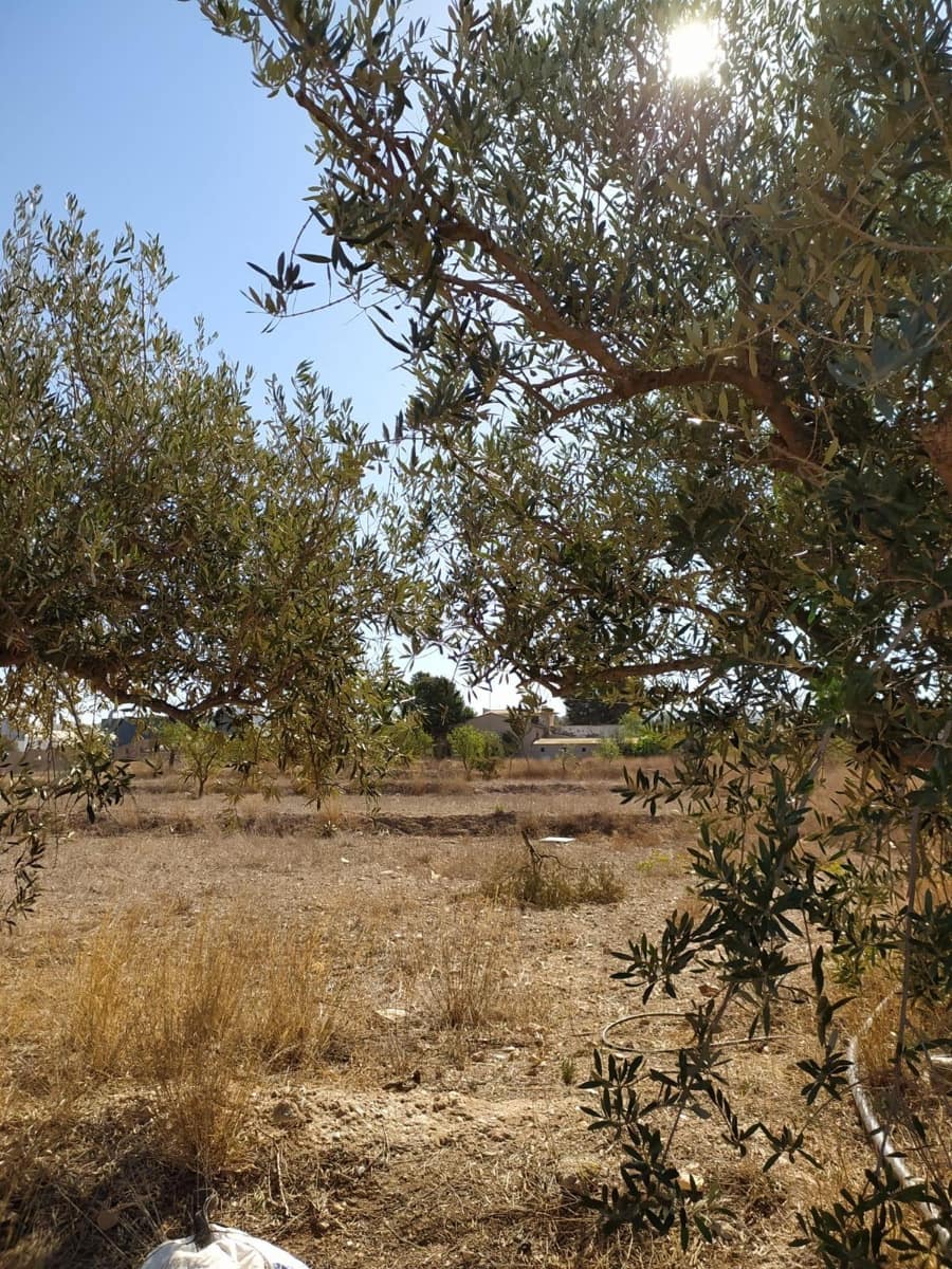 5 sypialnia Finka/Dom wiejski na sprzedaż w La Escucha - 200 000 € (Ref: 8209724)