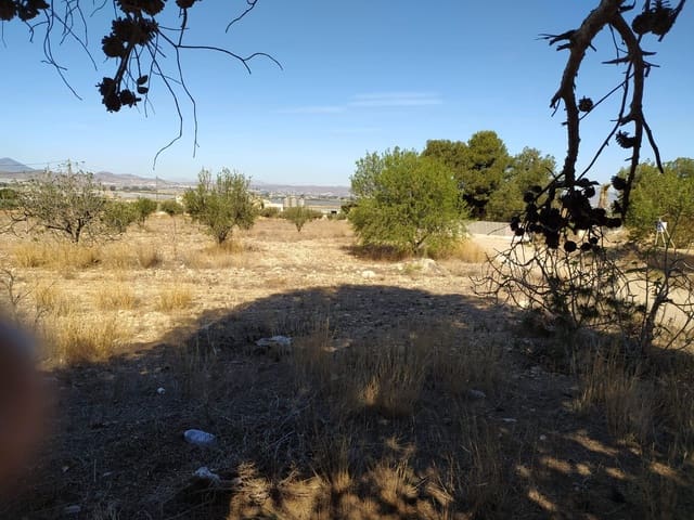 5 sypialnia Finka/Dom wiejski na sprzedaż w La Escucha, Lorca - 200 000 € (Ref: 8209724)