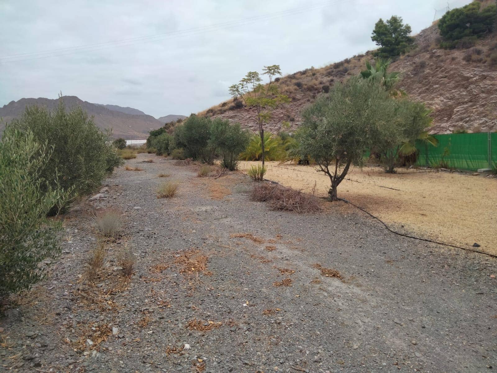 3 chambre Finca/Maison de Campagne à vendre à Aguilas avec piscine - 250 000 € (Ref: 9649981)