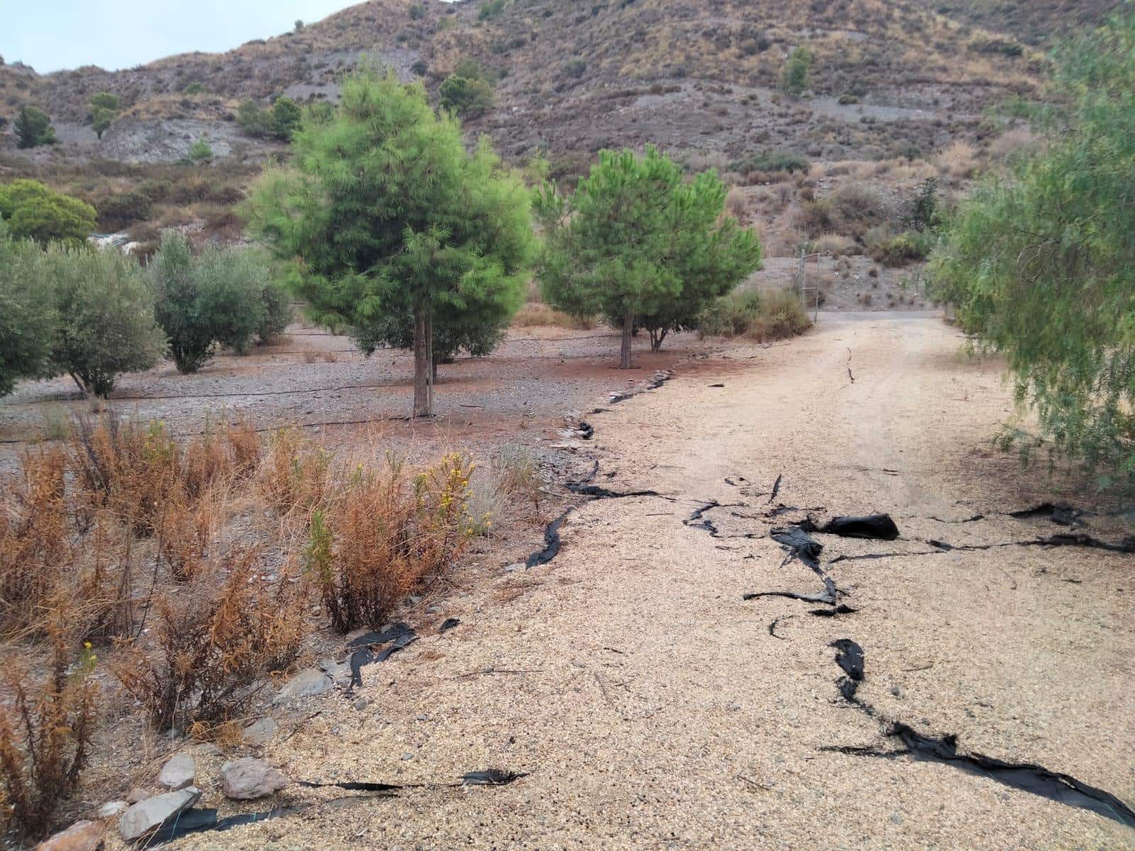 3 chambre Finca/Maison de Campagne à vendre à Aguilas avec piscine - 250 000 € (Ref: 9649981)