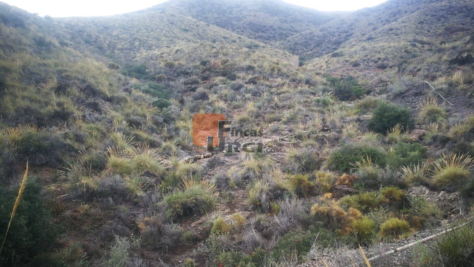 Finca/Landhuis te koop in Calabardina - € 120.000 (Ref: 9649990)