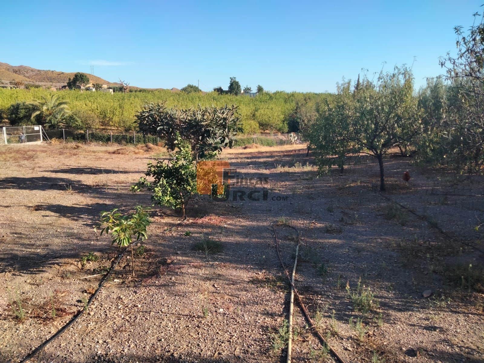 1 slaapkamer Finca/Landhuis te koop in Aguilas - € 135.000 (Ref: 9650013)