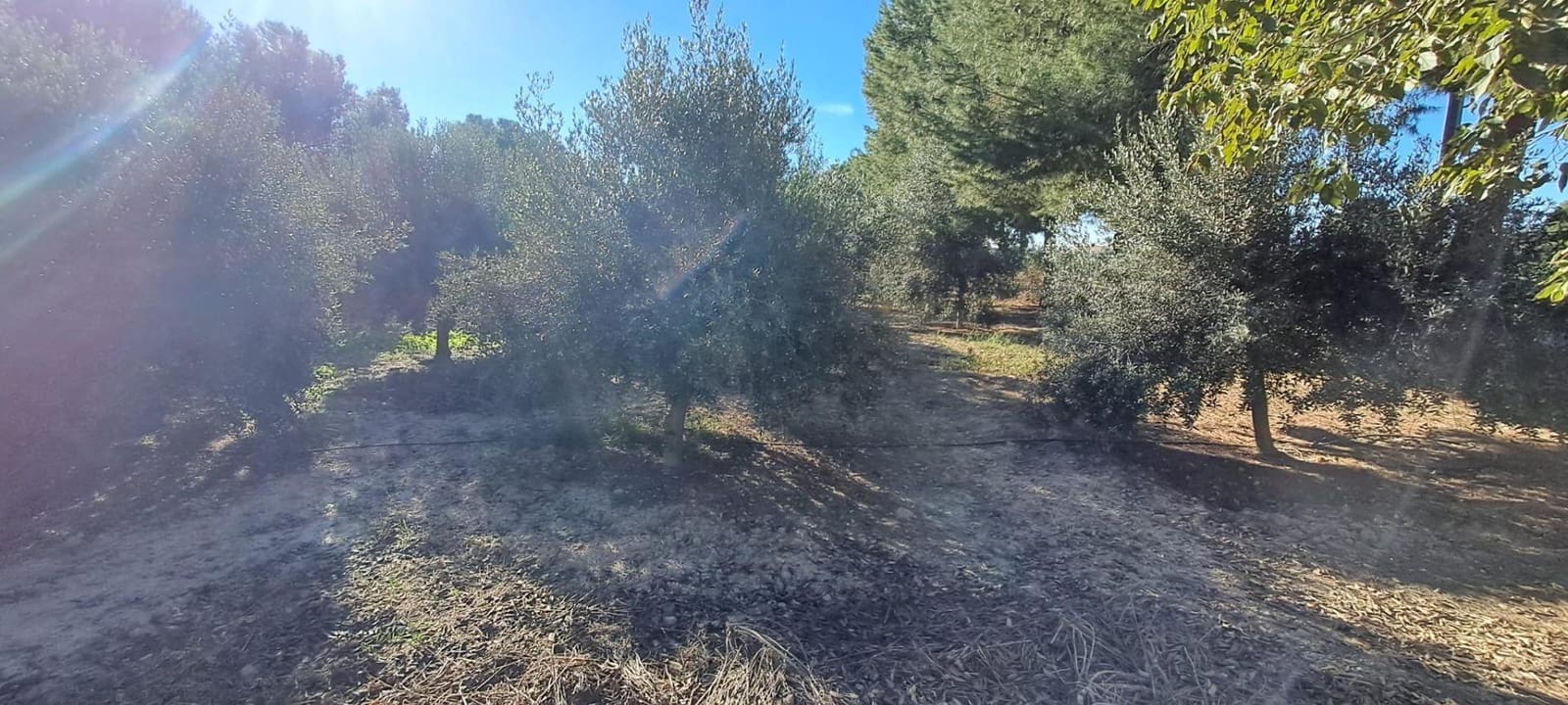 4 soveværelse Finca/Landehus til salg i Lorca - € 390.000 (Ref: 9650020)