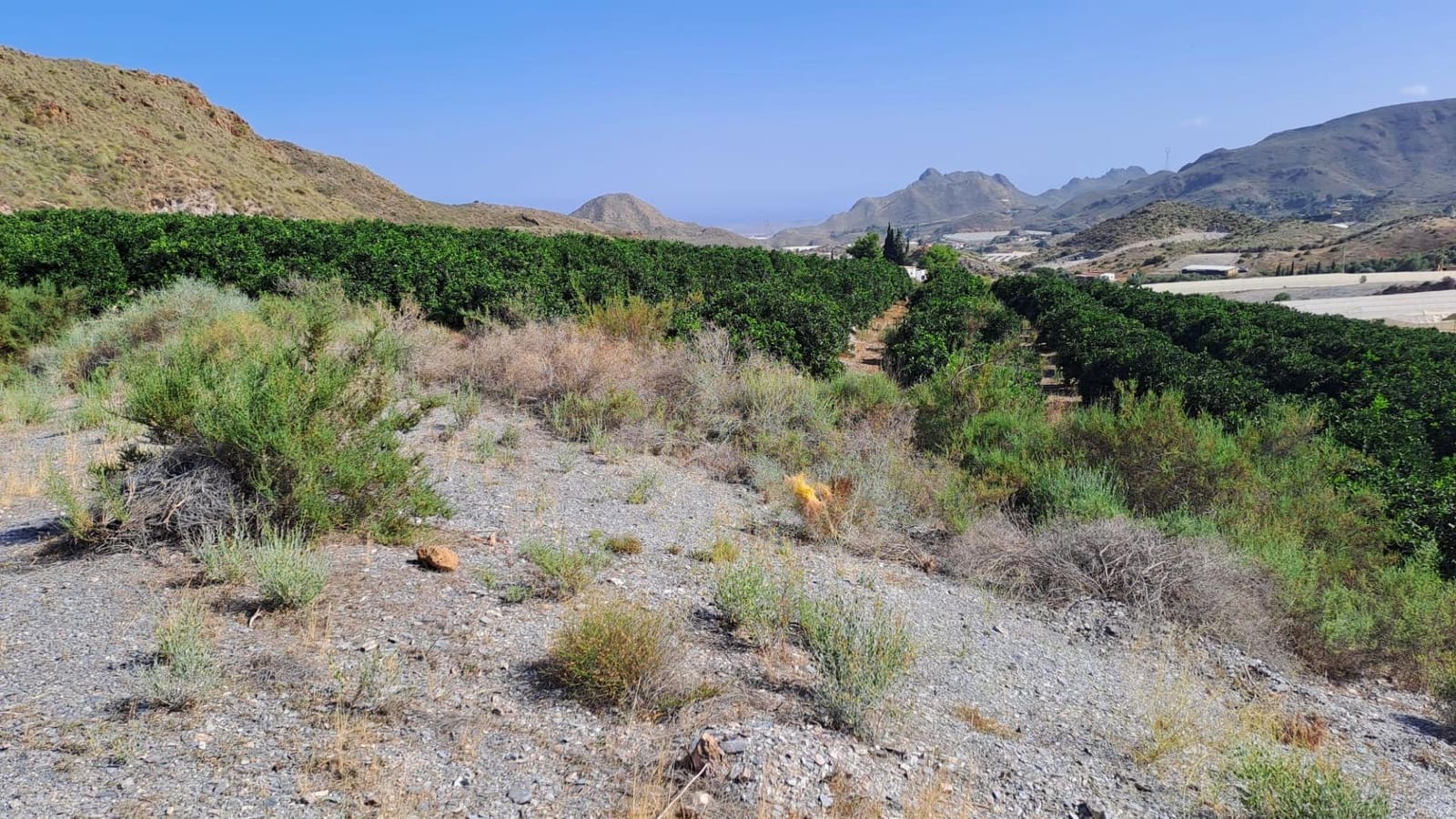 Teren niezagospodarowany na sprzedaż w Aguilas - 45 000 € (Ref: 9650030)