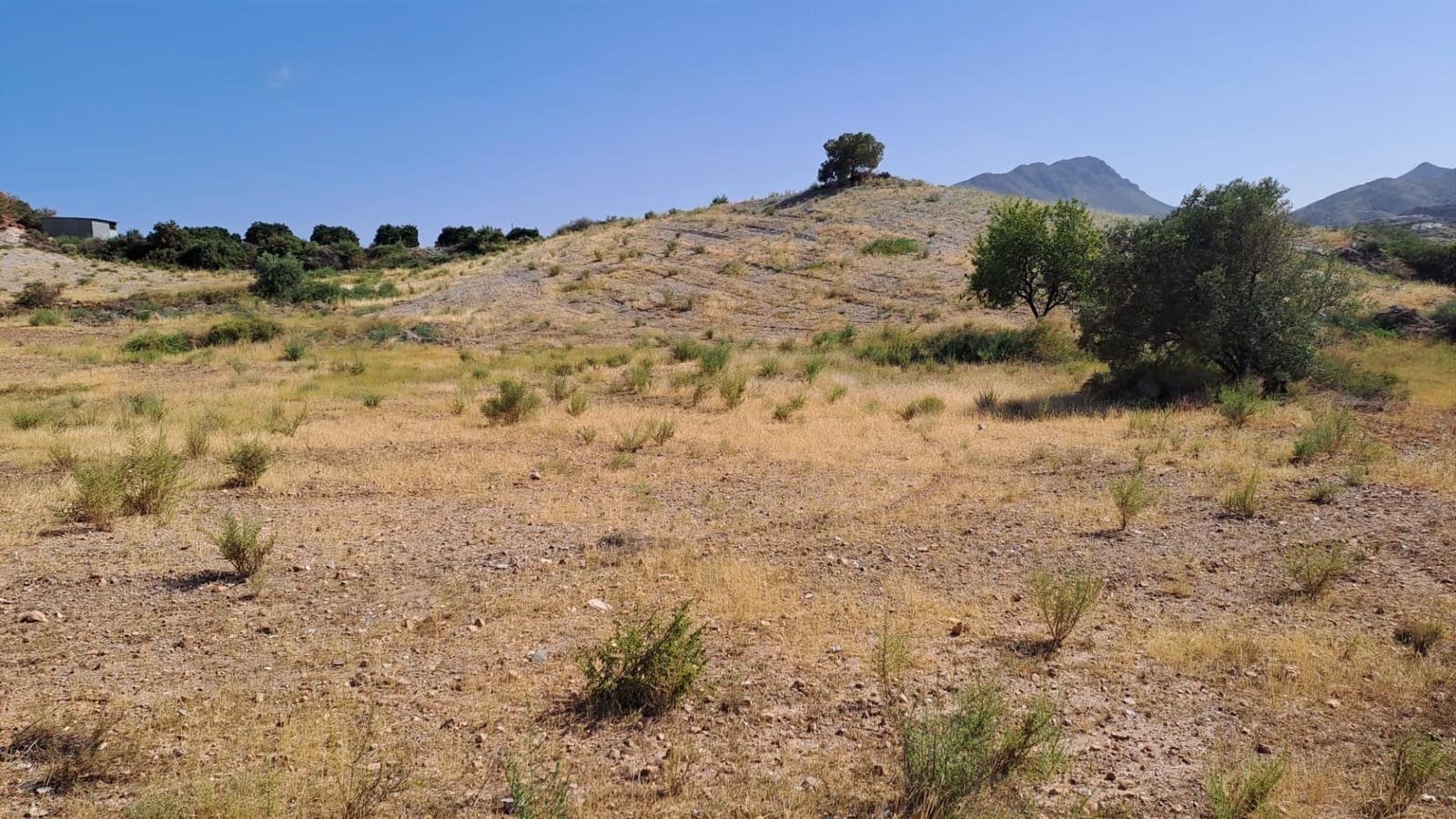 Teren niezagospodarowany na sprzedaż w Aguilas - 45 000 € (Ref: 9650030)