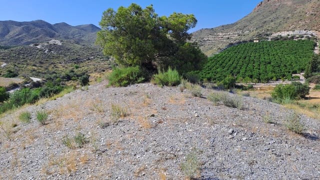 Mark till salu i Aguilas - 45 000 € (Ref: 9650030)