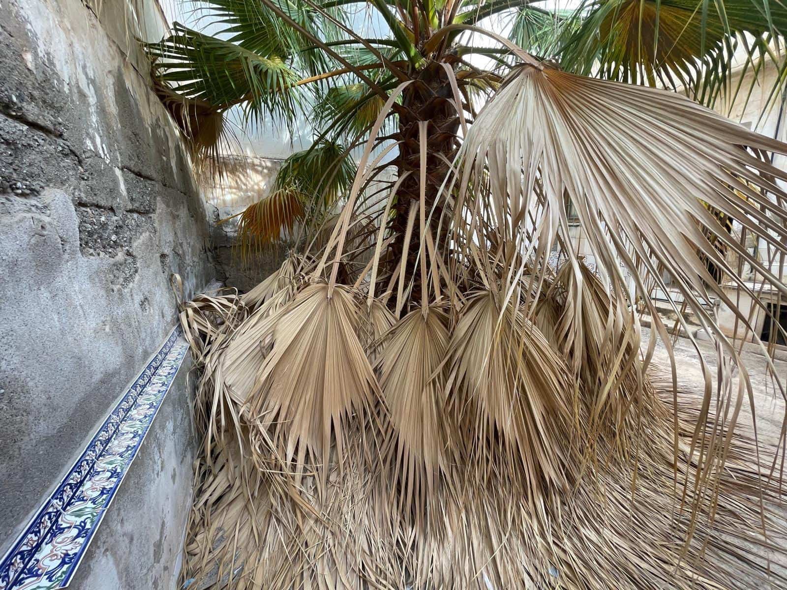 5 bedroom Villa for sale in Aguilas - € 185,000 (Ref: 9650037)