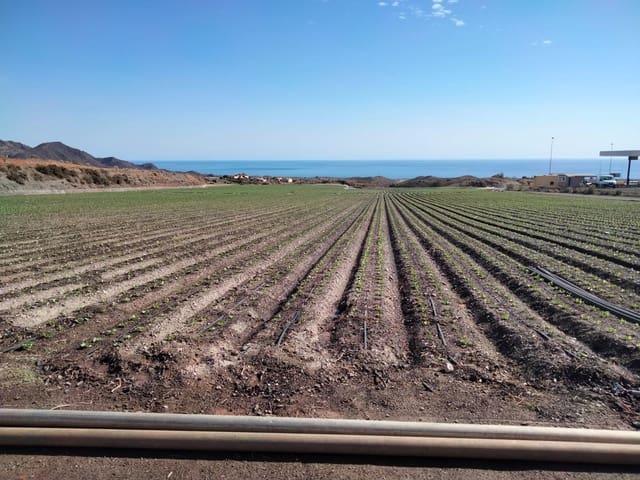 Terre non Aménagée à vendre à Aguilas - 320 000 € (Ref: 9650041)