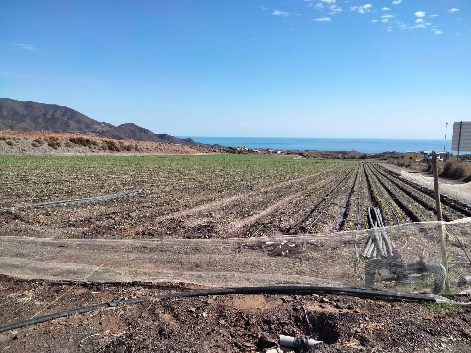 Terre non Aménagée à vendre à Aguilas - 320 000 € (Ref: 9650041)