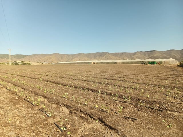 Terre non Aménagée à vendre à Aguilas - 320 000 € (Ref: 9650041)