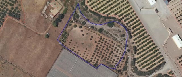 Terre non Aménagée à vendre à Almendricos, Lorca - 30 000 € (Ref: 9650056)