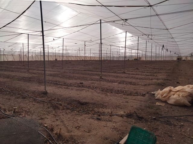 Mark till salu i Aguilas - 480 000 € (Ref: 9650065)