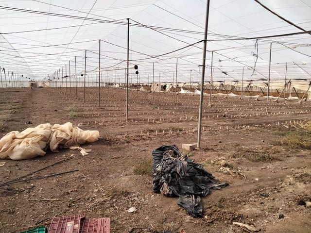 Mark till salu i Aguilas - 480 000 € (Ref: 9650065)