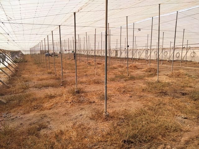 Mark till salu i Aguilas - 480 000 € (Ref: 9650065)