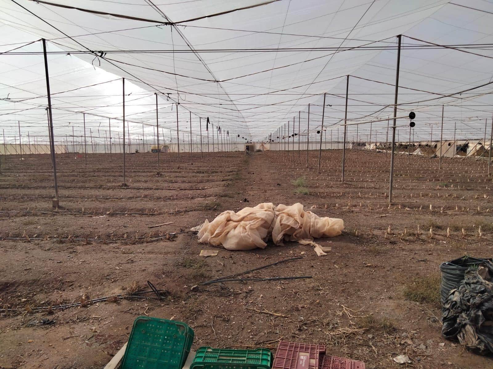 Terreno/Finca Rústica en Aguilas en venta - 480.000 € (Ref: 9650065)