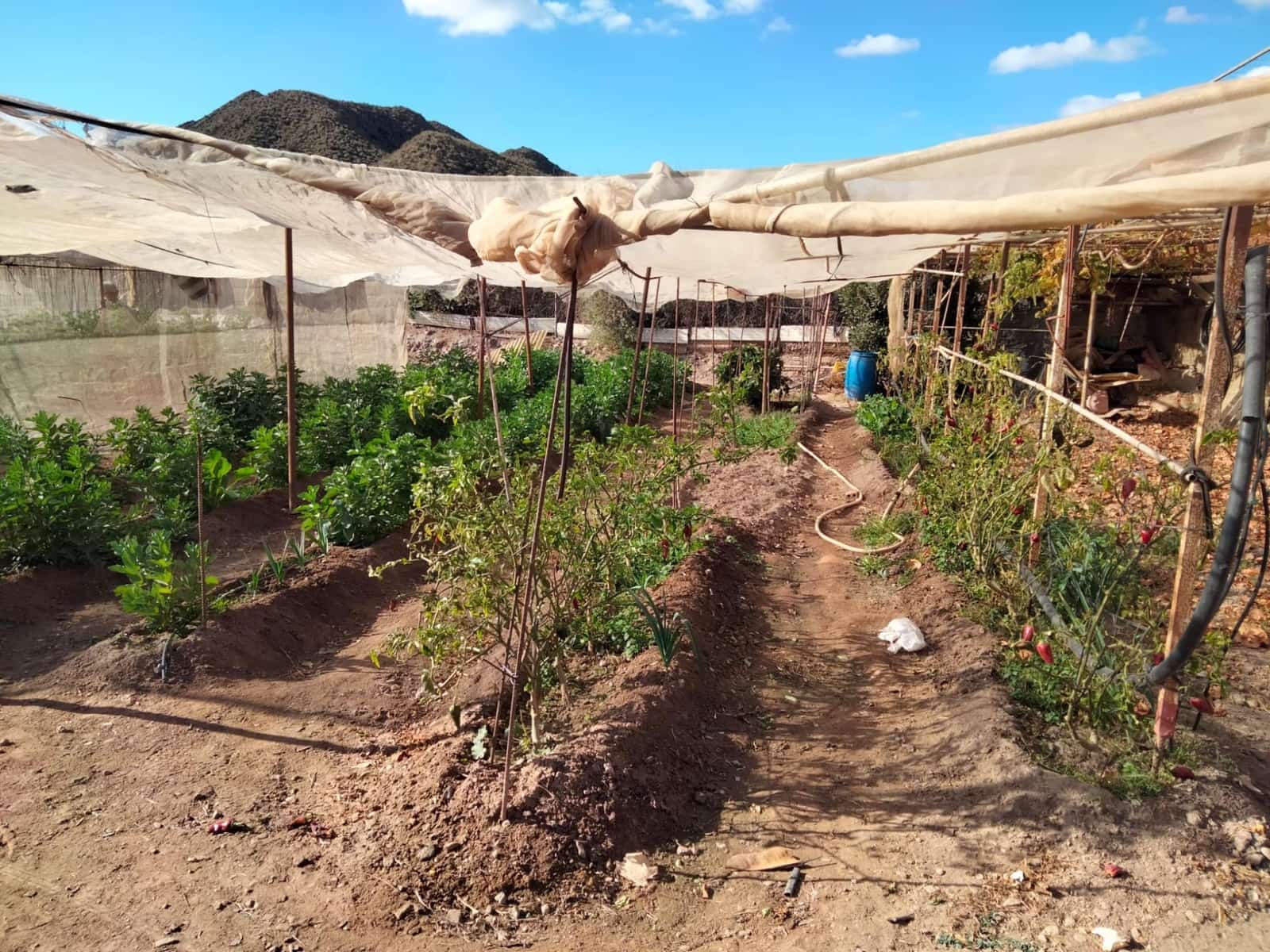 3 sypialnia Finka/Dom wiejski na sprzedaż w Aguilas - 225 000 € (Ref: 9650066)